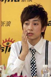 帅洋明星,闪耀舞台的璀璨星辰